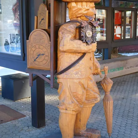 Appartement Schwarzwaldrauschen