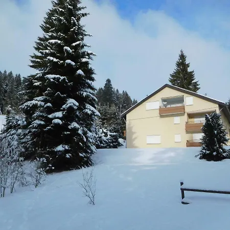 Schwarzwaldrauschen Apartment Schoenwald im Schwarzwald