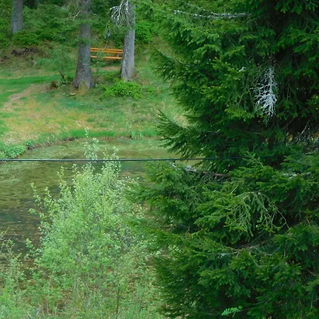 Appartement Schwarzwaldrauschen