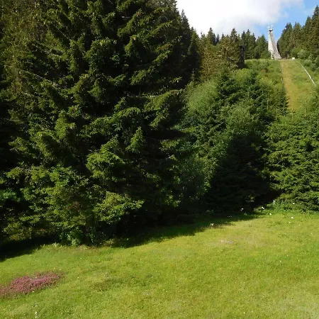 Schwarzwaldrauschen Schoenwald im Schwarzwald