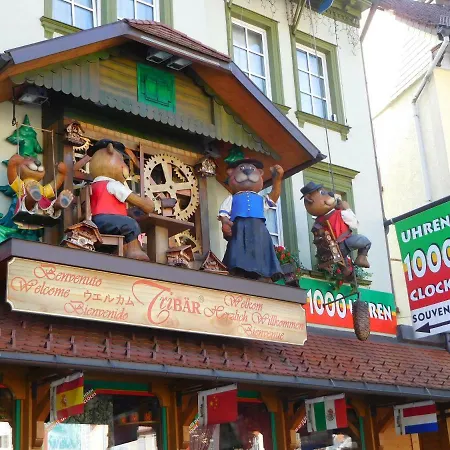 Schwarzwaldrauschen Appartement