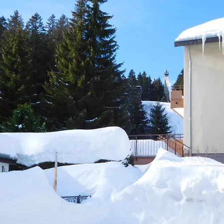 Schwarzwaldrauschen Appartement *