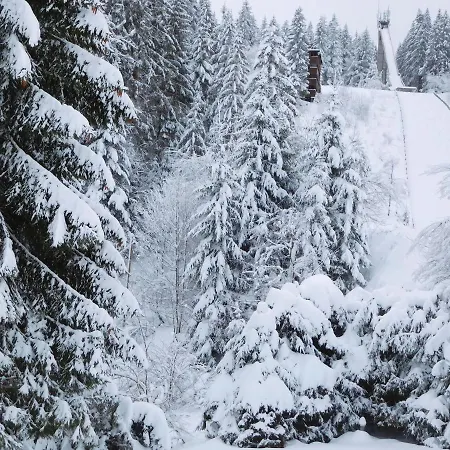 Schwarzwaldrauschen Schoenwald im Schwarzwald